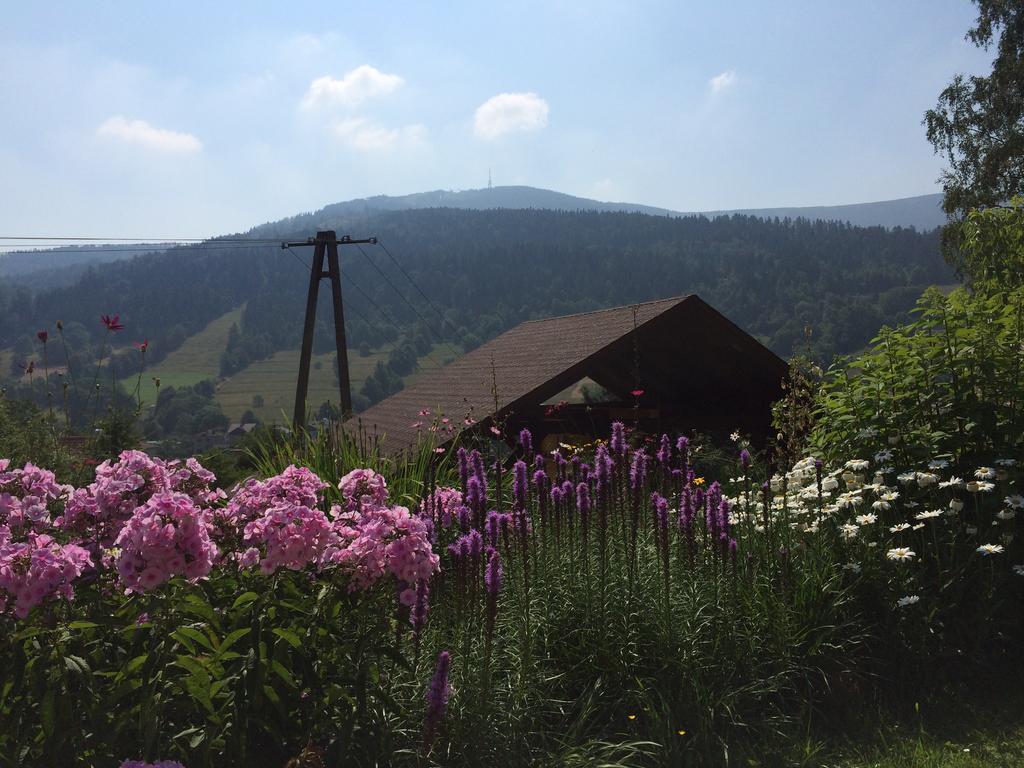 Leilighet Wierchy Szczyrk