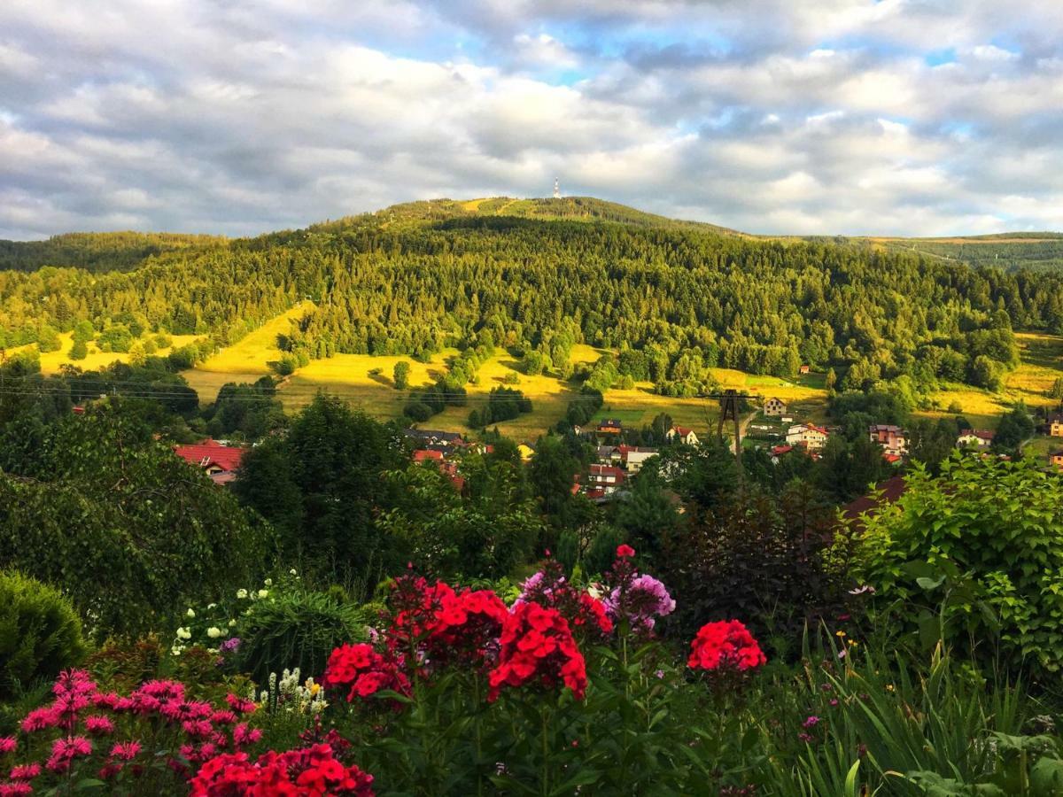 Leilighet Wierchy